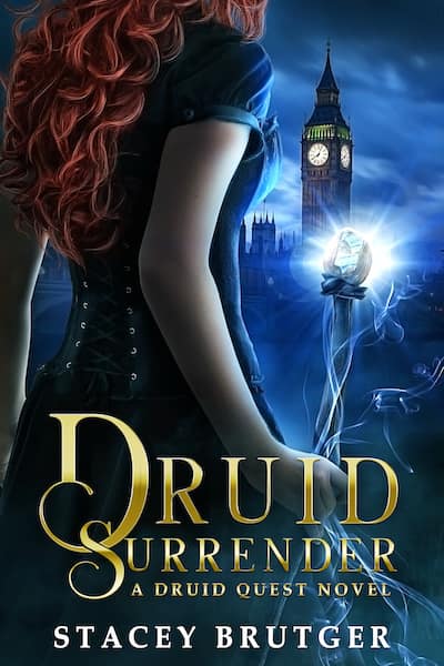 Book cover for Book Cover: Druid Surrender by Stacey Brutger
