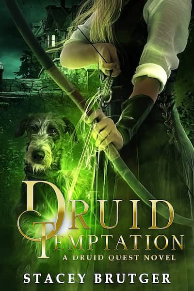 Book cover for Book Cover: Druid Temptation by Stacey Brutger
