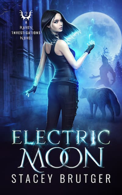 Book cover for Book Cover: Electric Moon by Stacey Brutger