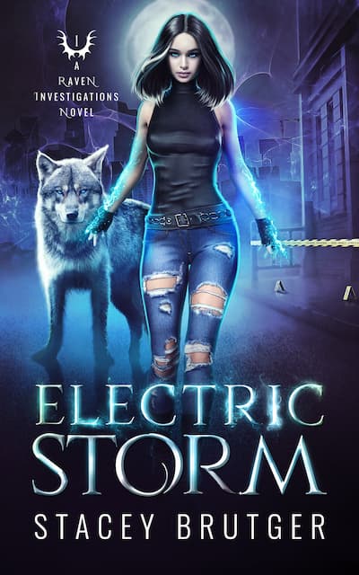 Book cover for Book Cover: Electric Storm by Stacey Brutger