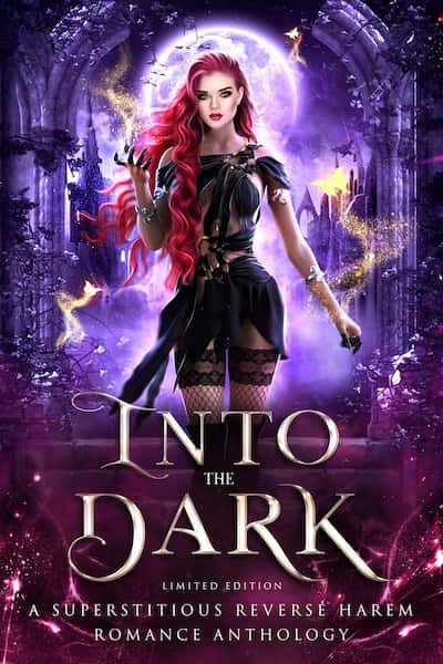 Book cover for Book Cover: Into the Dark by Stacey Brutger